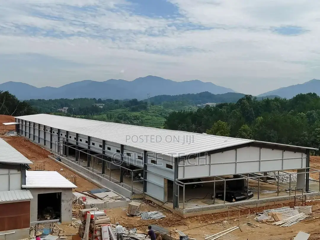 300,000 Layer Chicken Houses With H-Type Fully Automated System