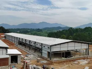 300,000 Layer Chicken Houses With H-Type Fully Automated System