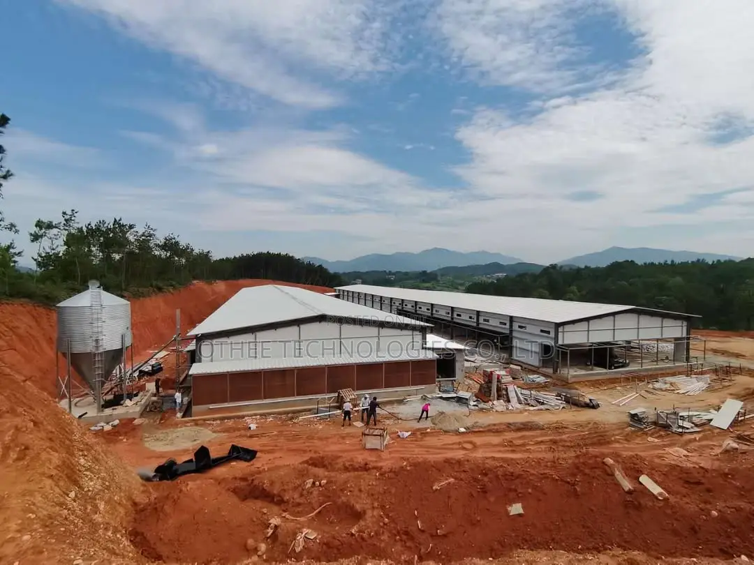 300,000 Layer Chicken Houses With H-Type Fully Automated System