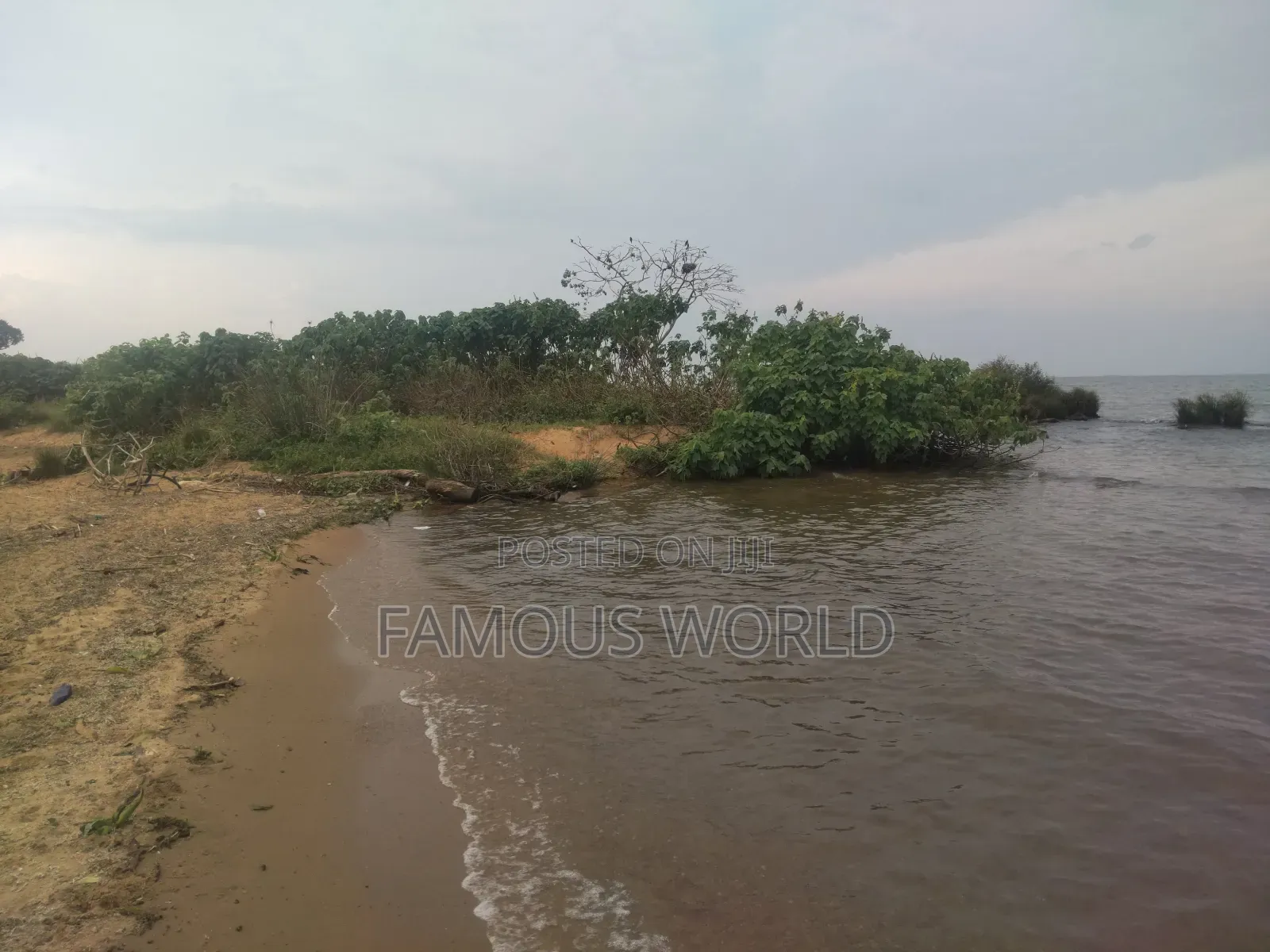 Bussi Island Lake Front Land on Sale