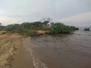 Bussi Island Lake Front Land on Sale