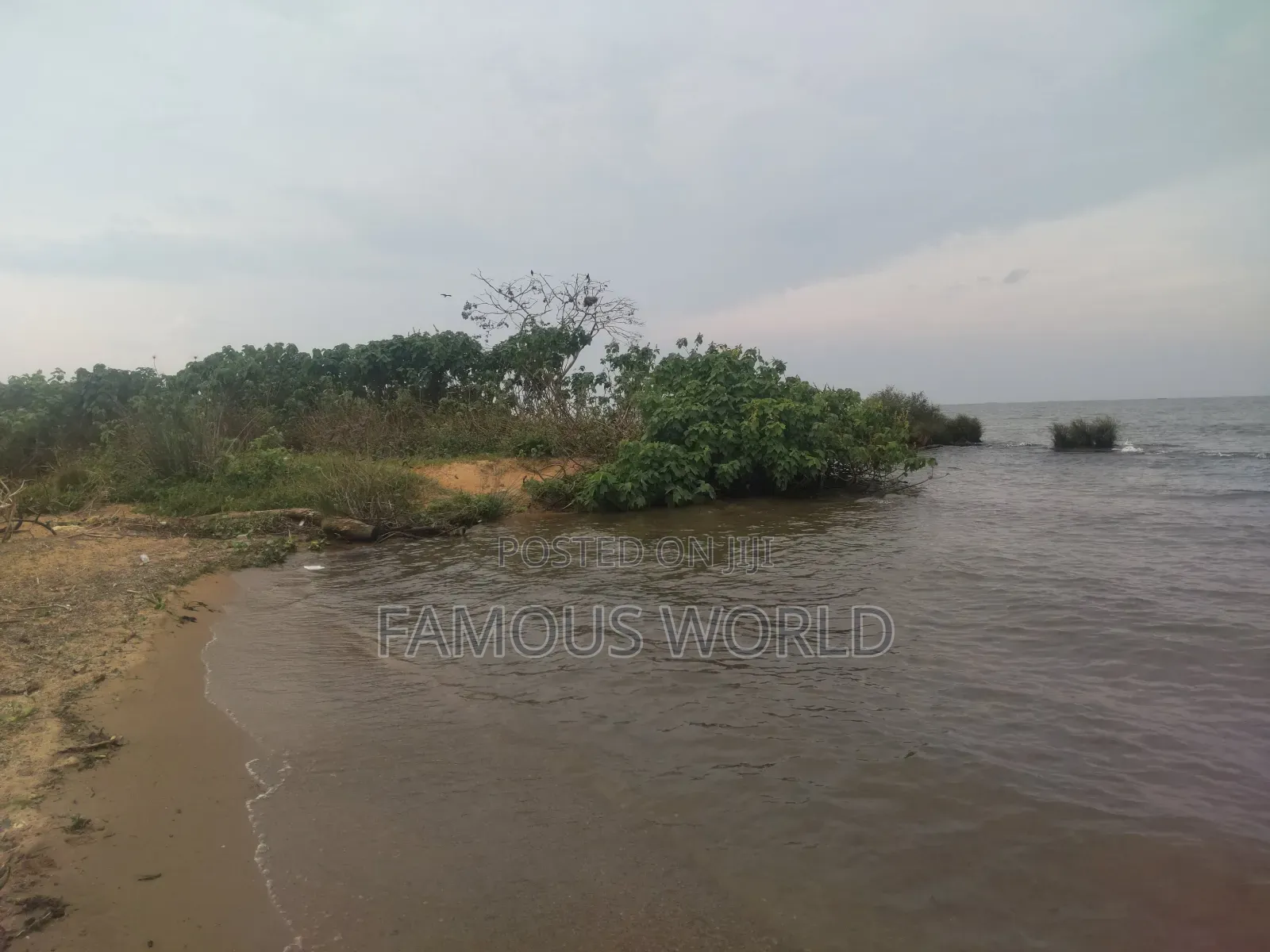 Bussi Island Lake Front Land on Sale