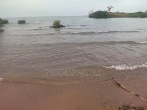 Bussi Island Lake Front Land on Sale