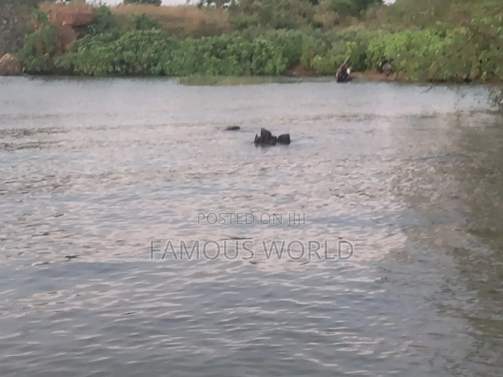 Bussi Island Lake Front Land on Sale