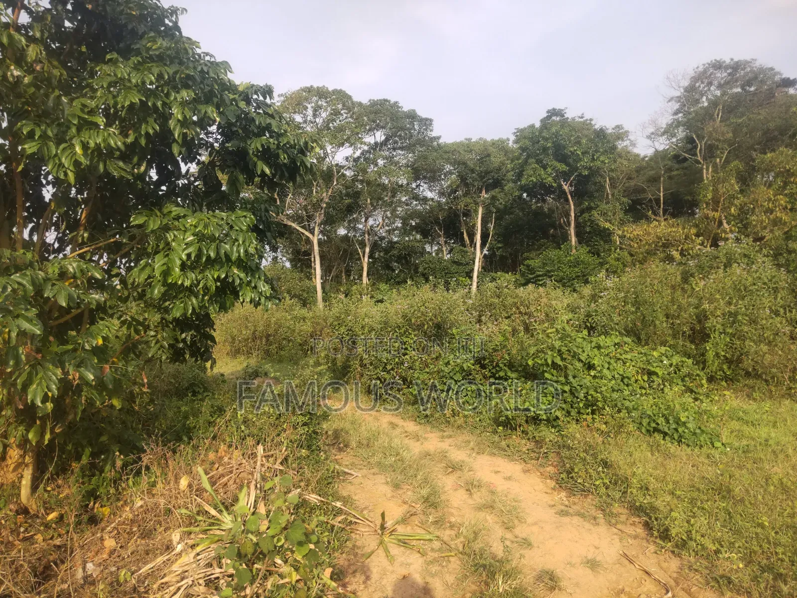 Bussi Island Lake Front Land on Sale