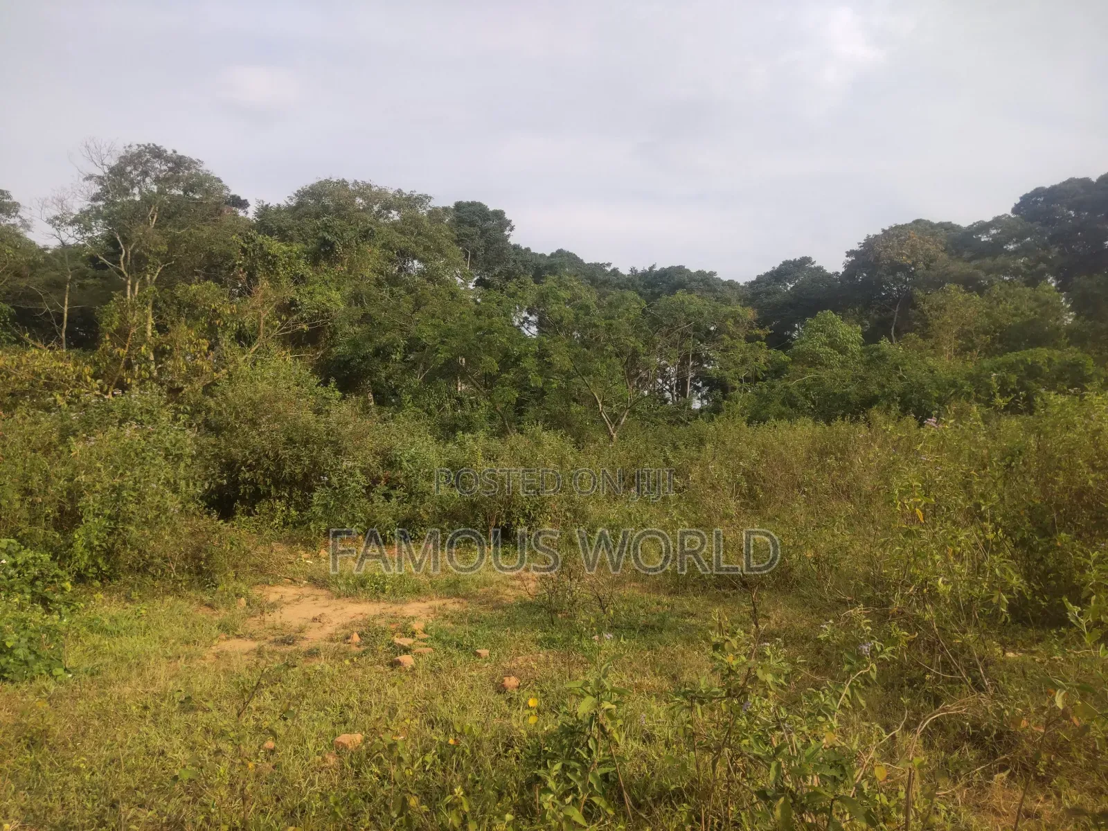 Bussi Island Lake Front Land on Sale