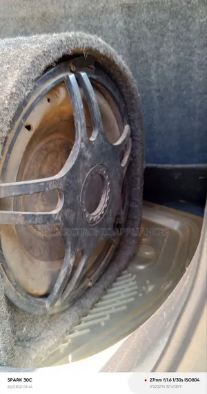 Car Subhoofer Disen