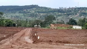 Prime Plots For Sale At Katende Bigambo Bitono Land Estate~Masaka Road