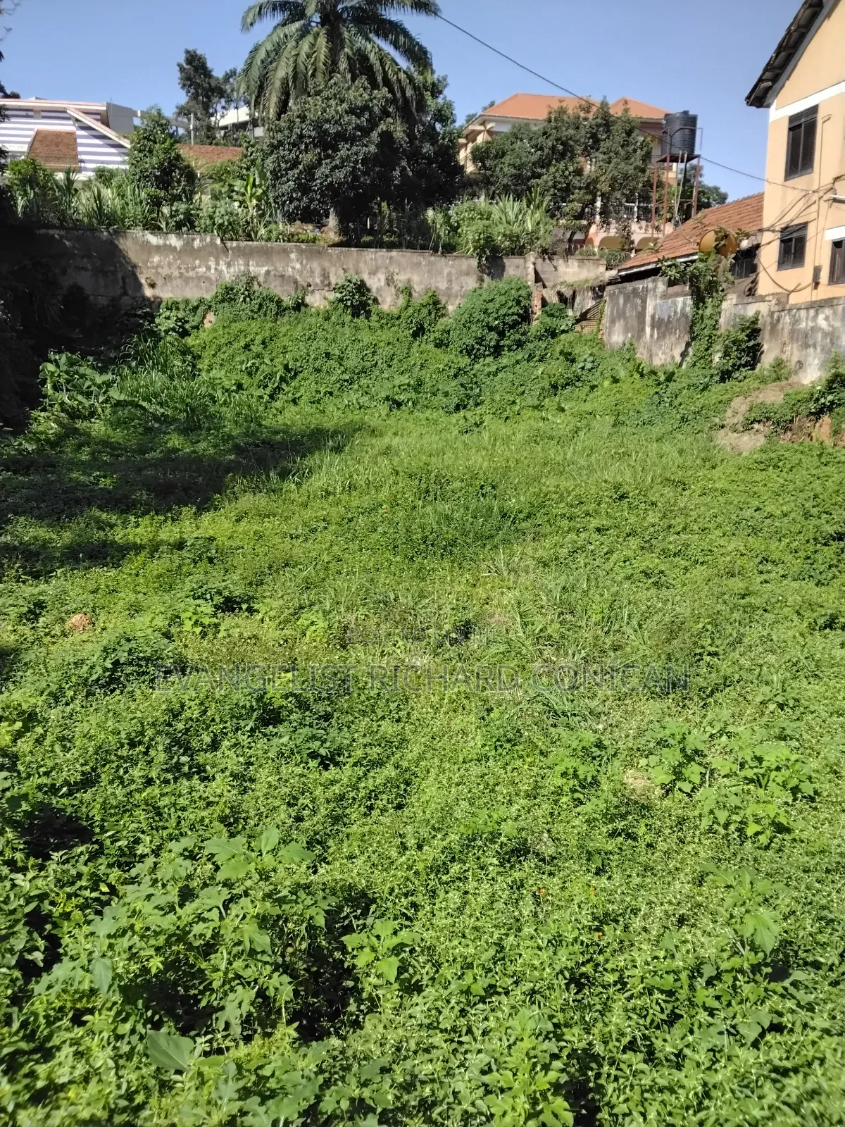 Land and Plots