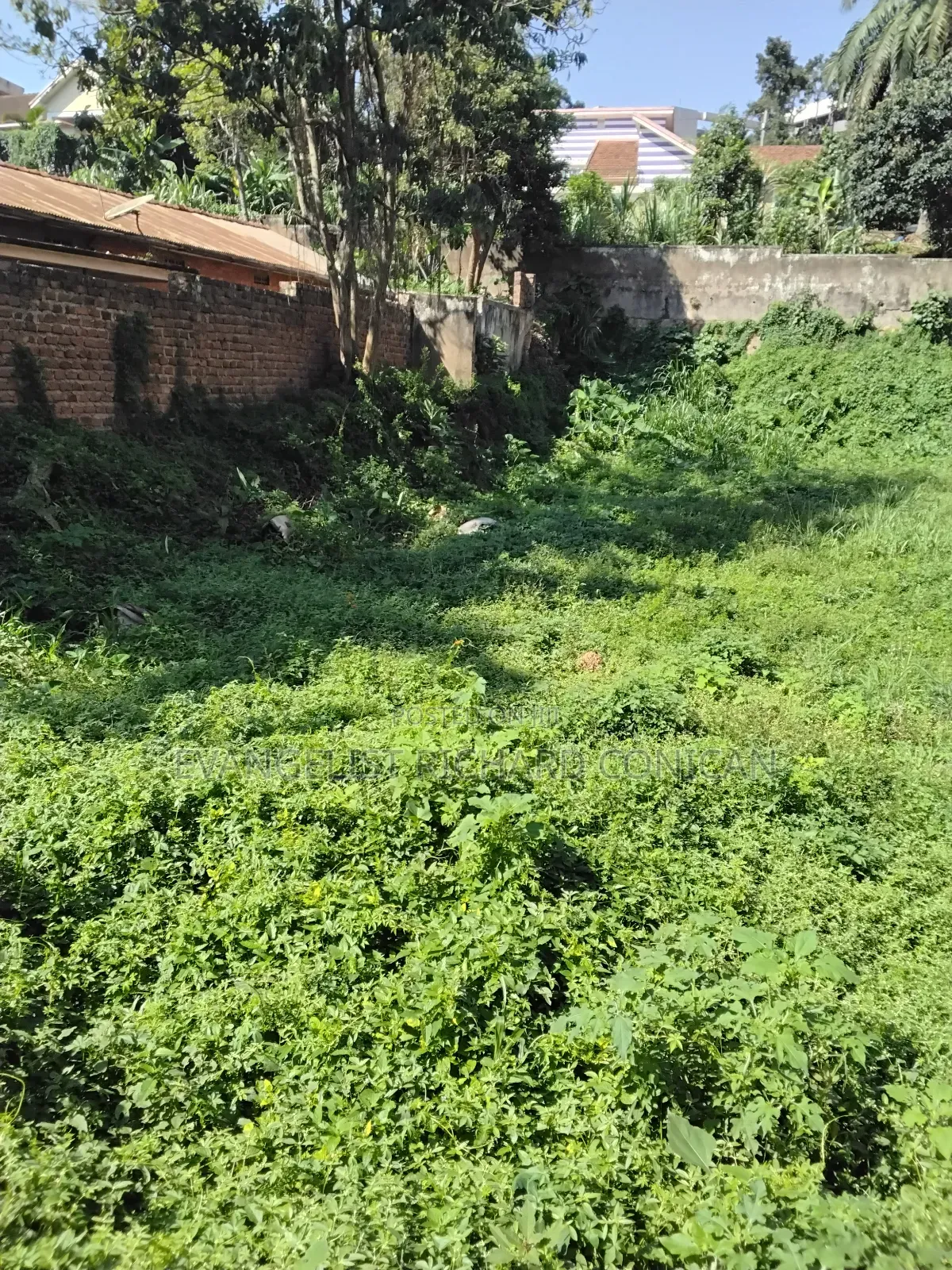 Land and Plots