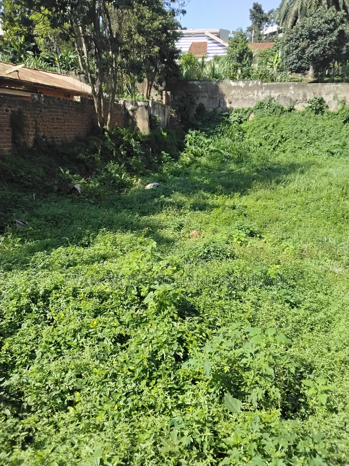 Land and Plots