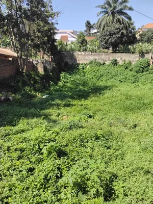 Land and Plots