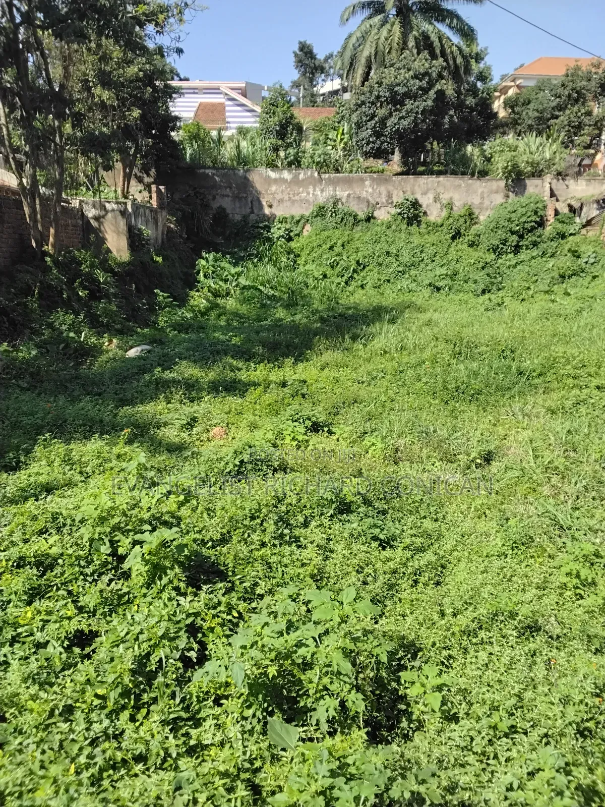 Land and Plots