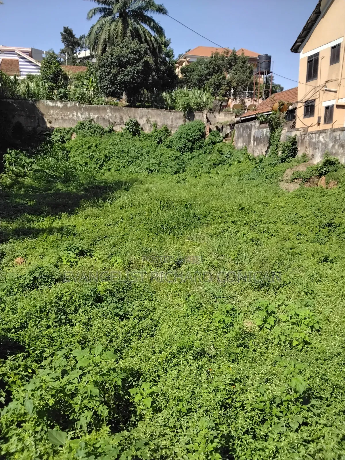 Land and Plots