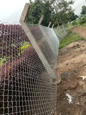 Chain Link Gauge 10 ( 7 Feet )