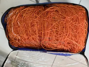 Soccer Goal Post Net Pair