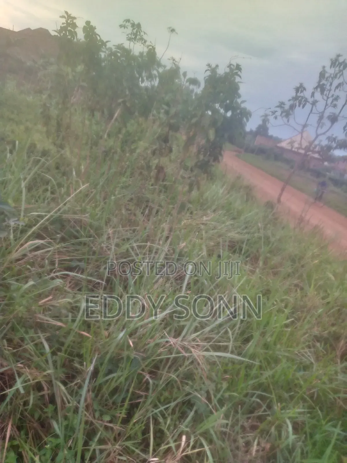 Land Plots for Sale