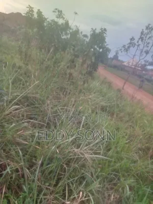Land Plots for Sale