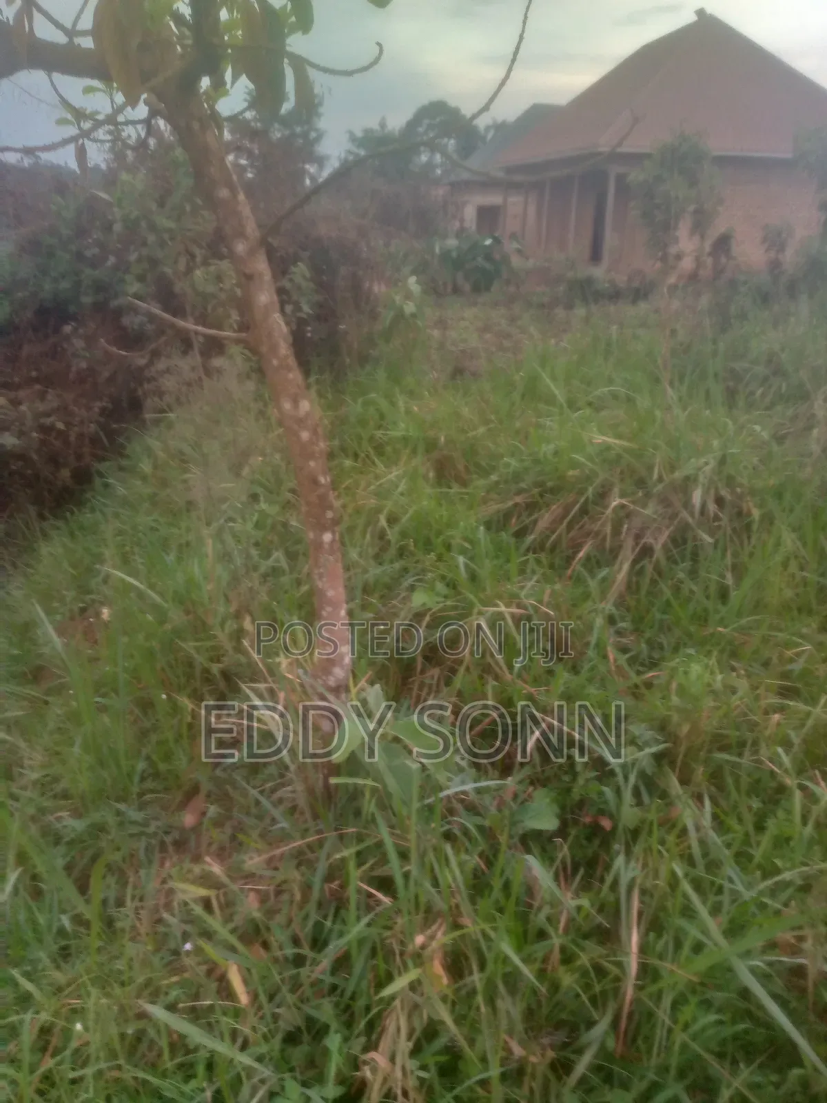 Land Plots for Sale