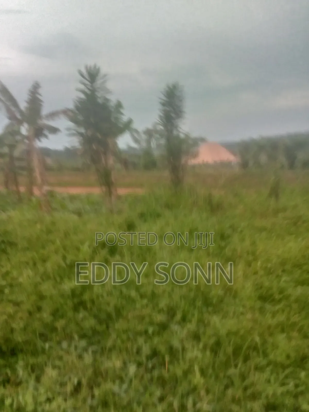 Land Plots for Sale