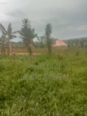 Land Plots for Sale