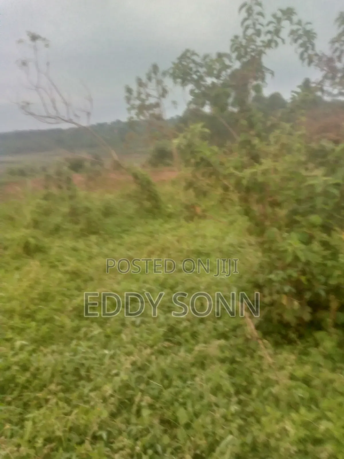 Land Plots for Sale