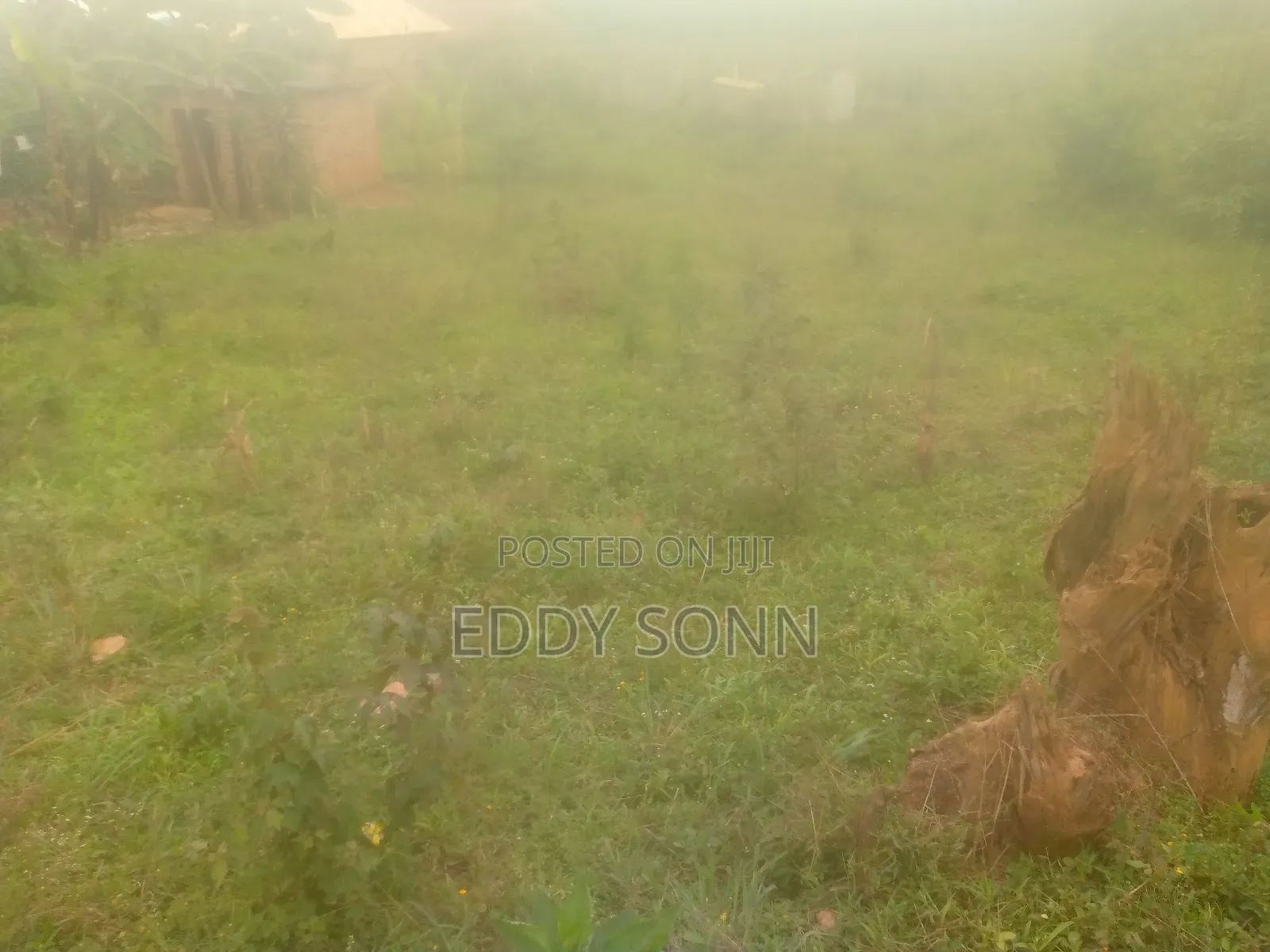 Land Plots for Sale