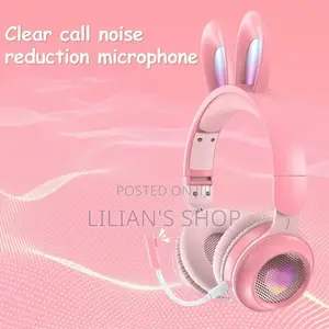 Rabbit Ear Wireless Headphones – Luminous Fun With Adjustable
