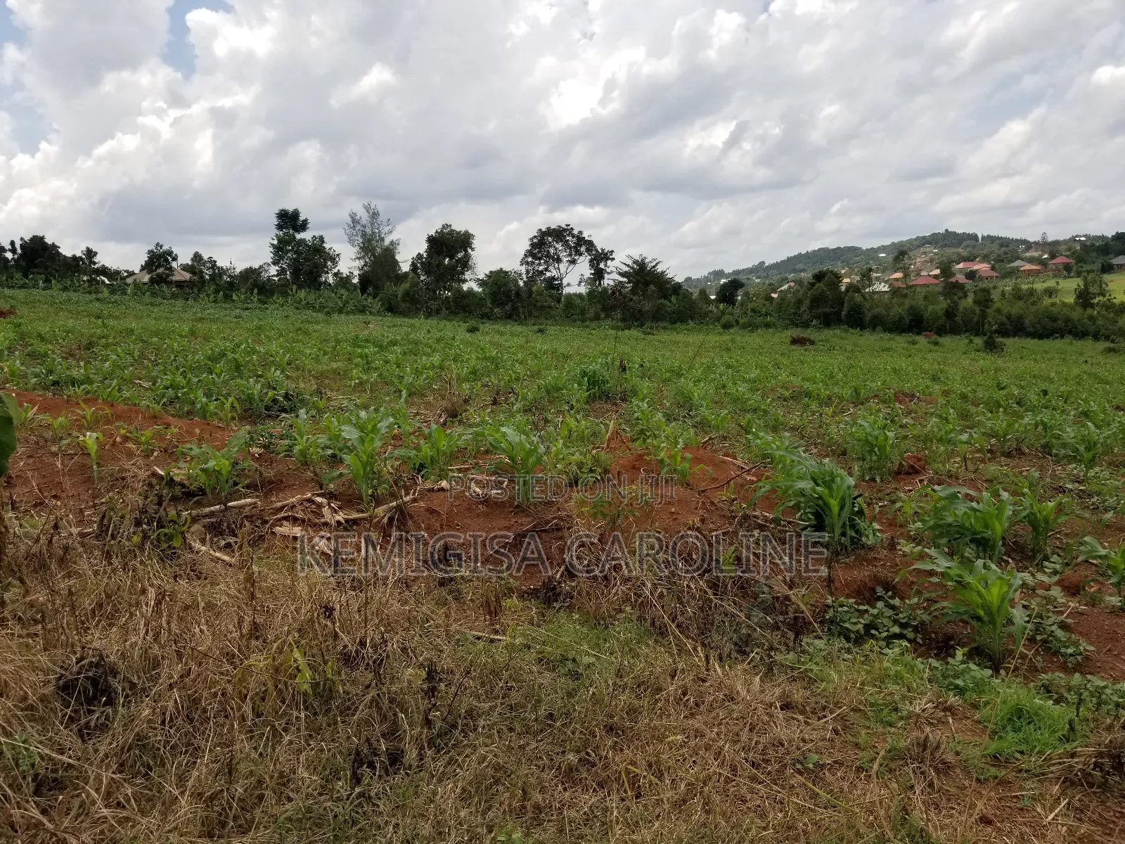 12 Acres for Sale in Wakiso