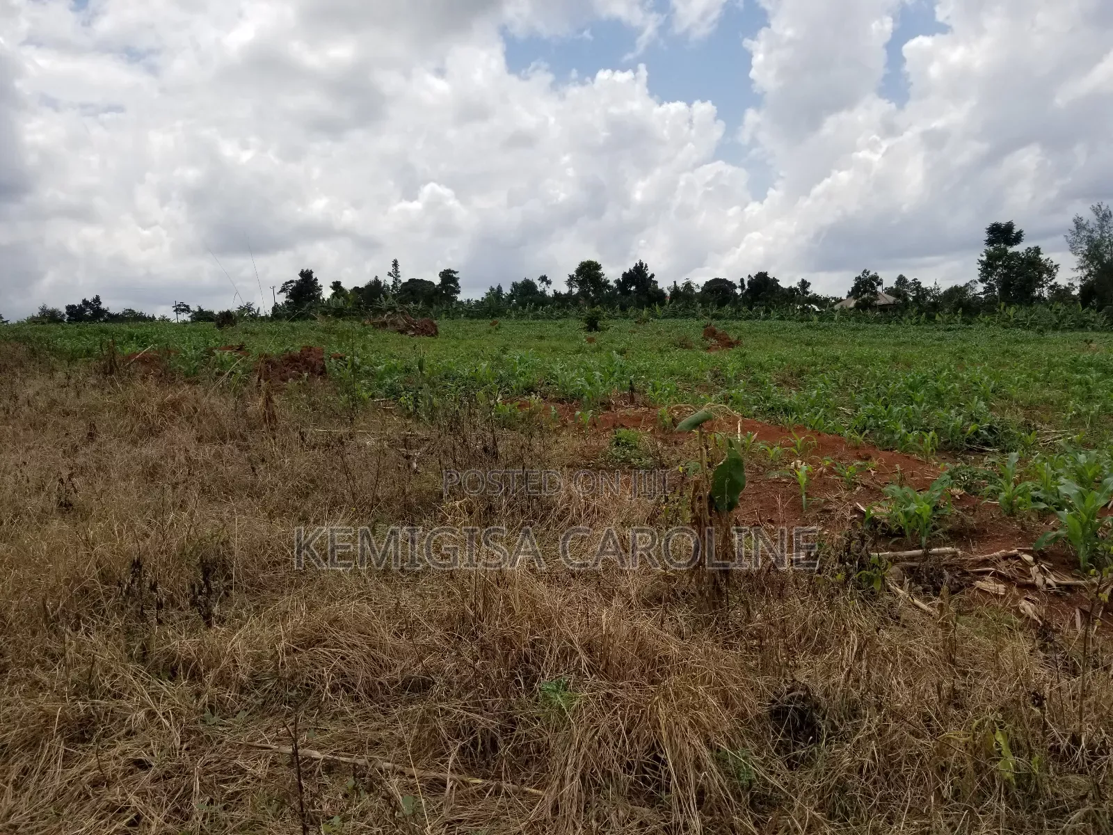 12 Acres for Sale in Wakiso