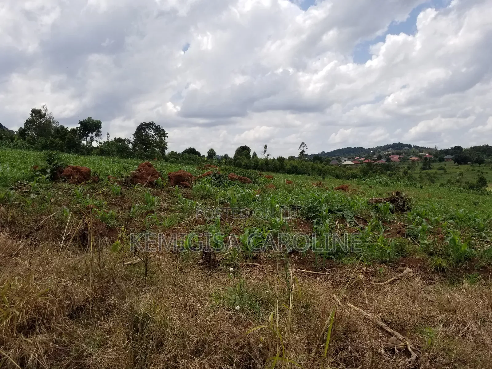 12 Acres for Sale in Wakiso