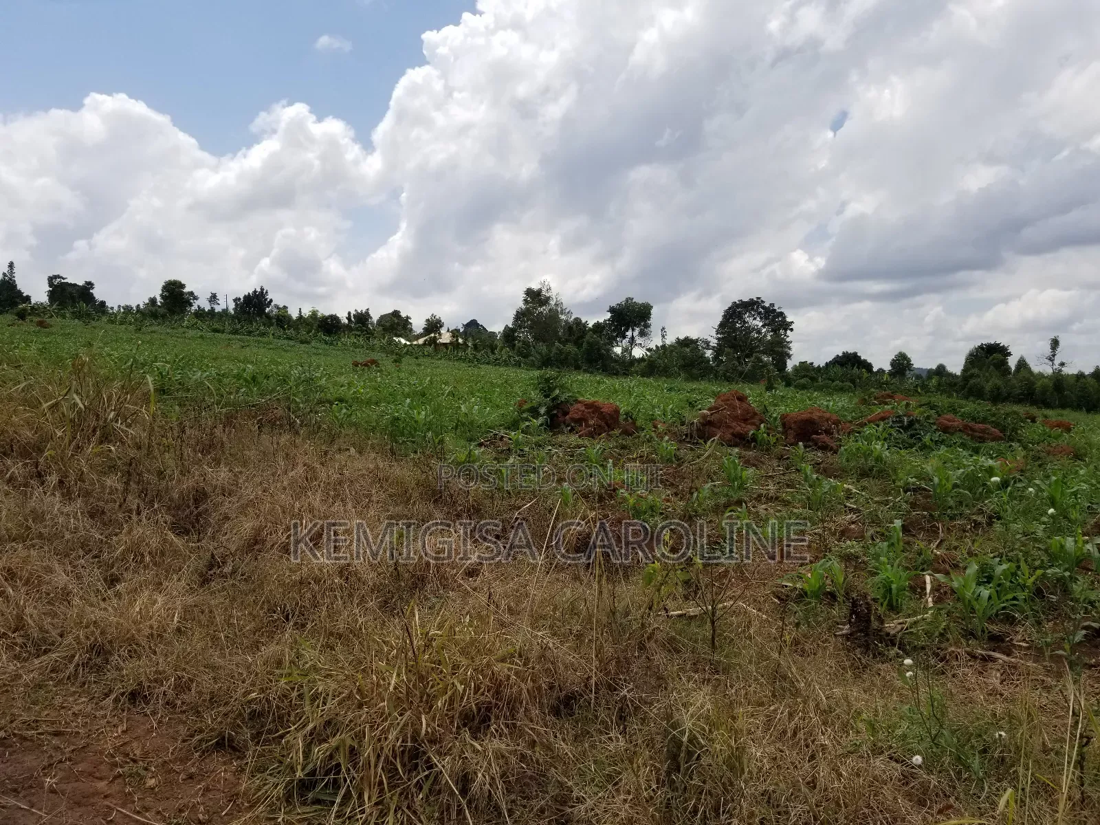 12 Acres for Sale in Wakiso