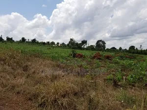 12 Acres for Sale in Wakiso