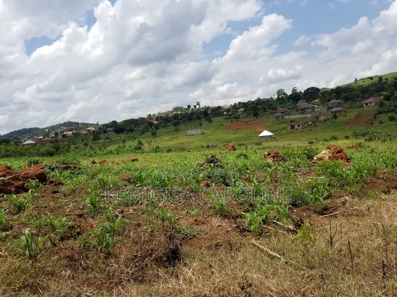 12 Acres for Sale in Wakiso