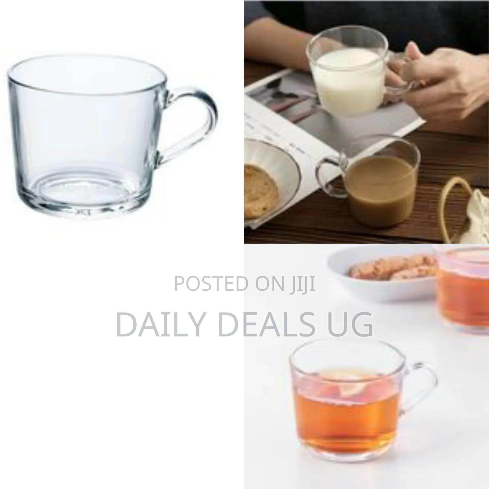 6 PCS of Plain Coffee Tea Glass Cups Mugs Colorless