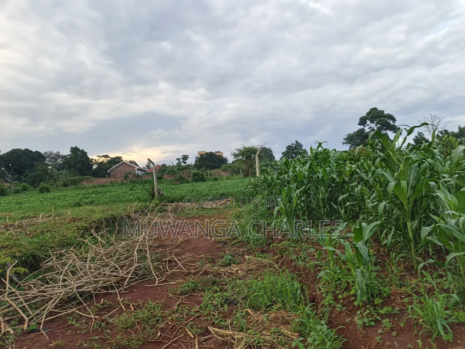 100by50ft on Quick Sale in Gayaza 2