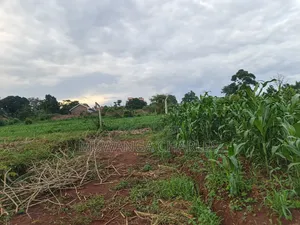 100by50ft on Quick Sale in Gayaza 2