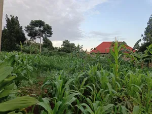 100by50ft on Quick Sale in Gayaza 2