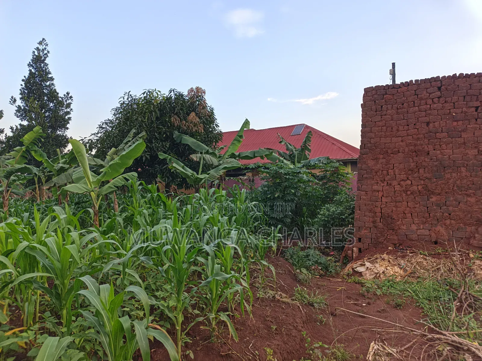 100by50ft on Quick Sale in Gayaza 2