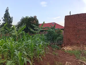 100by50ft on Quick Sale in Gayaza 2