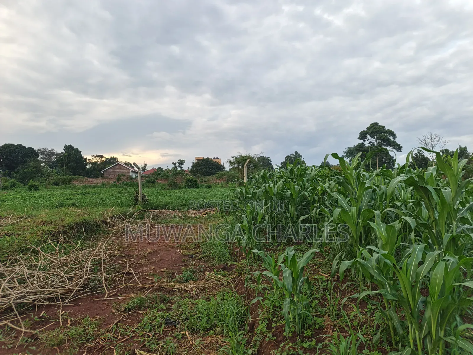 100by50ft on Quick Sale in Gayaza 2