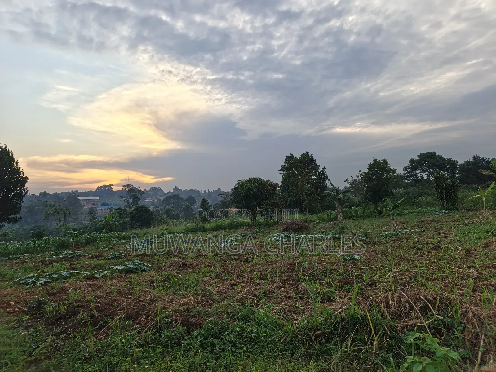 100by50ft on Quick Sale in Gayaza 2