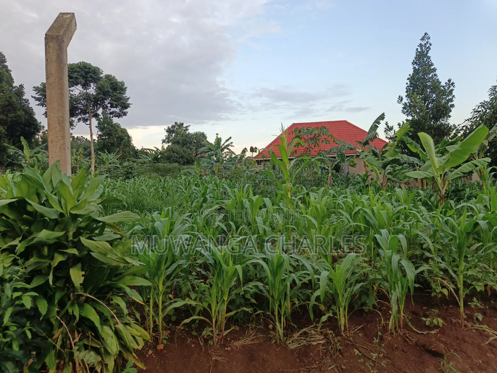 100by50ft on Quick Sale in Gayaza 2