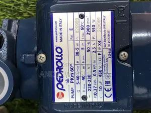 Surface Water Pump