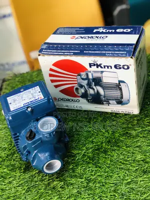 Surface Water Pump