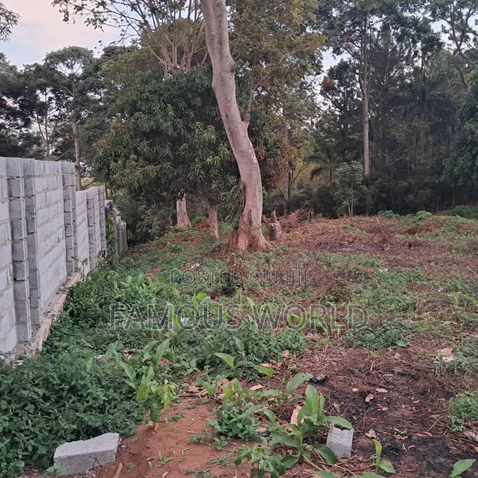 Land on Sale in Bwerenga Next to Brother Ronnie's Church