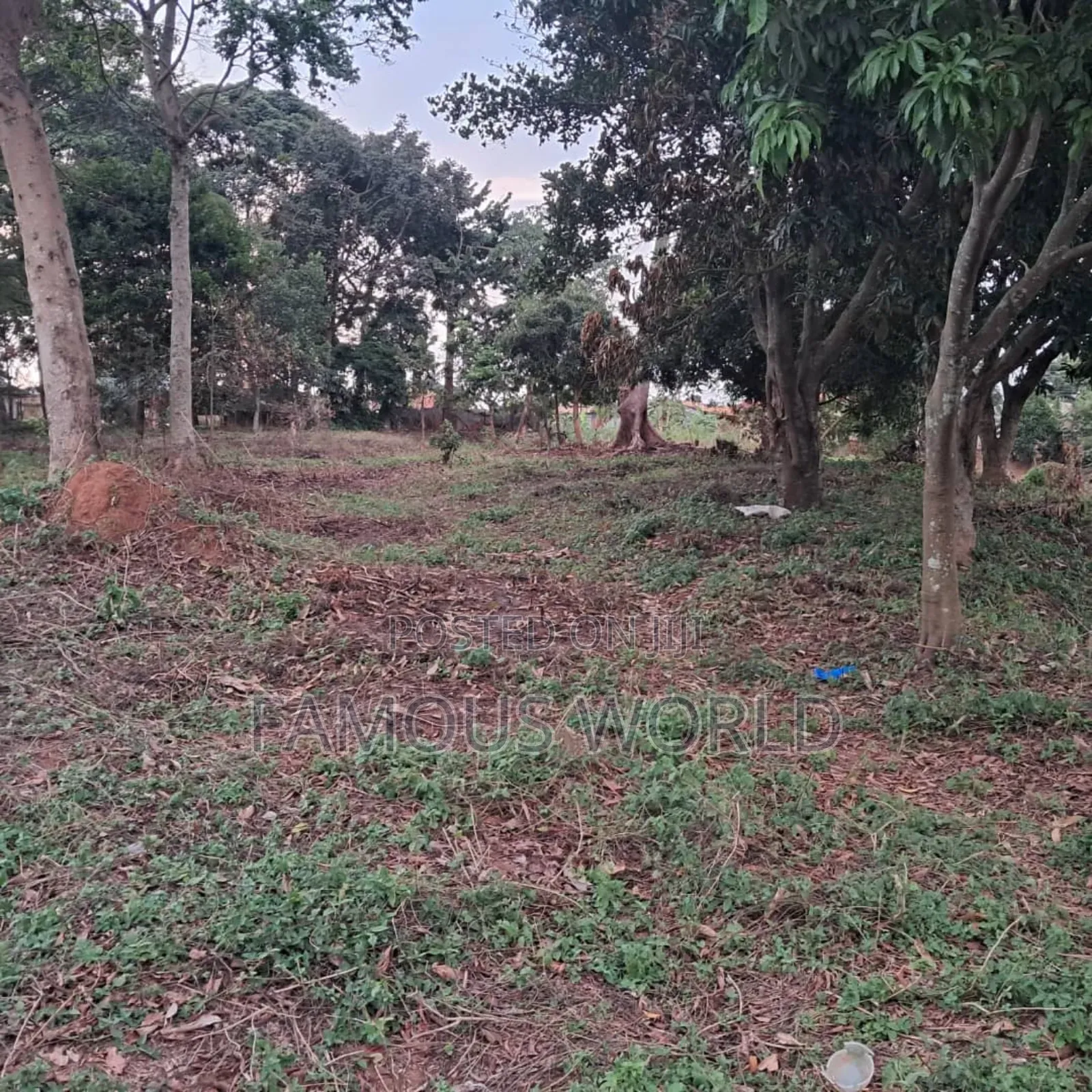 Land on Sale in Bwerenga Next to Brother Ronnie's Church