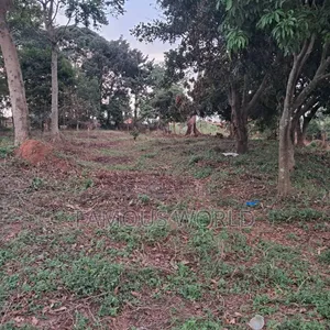 Land on Sale in Bwerenga Next to Brother Ronnie's Church
