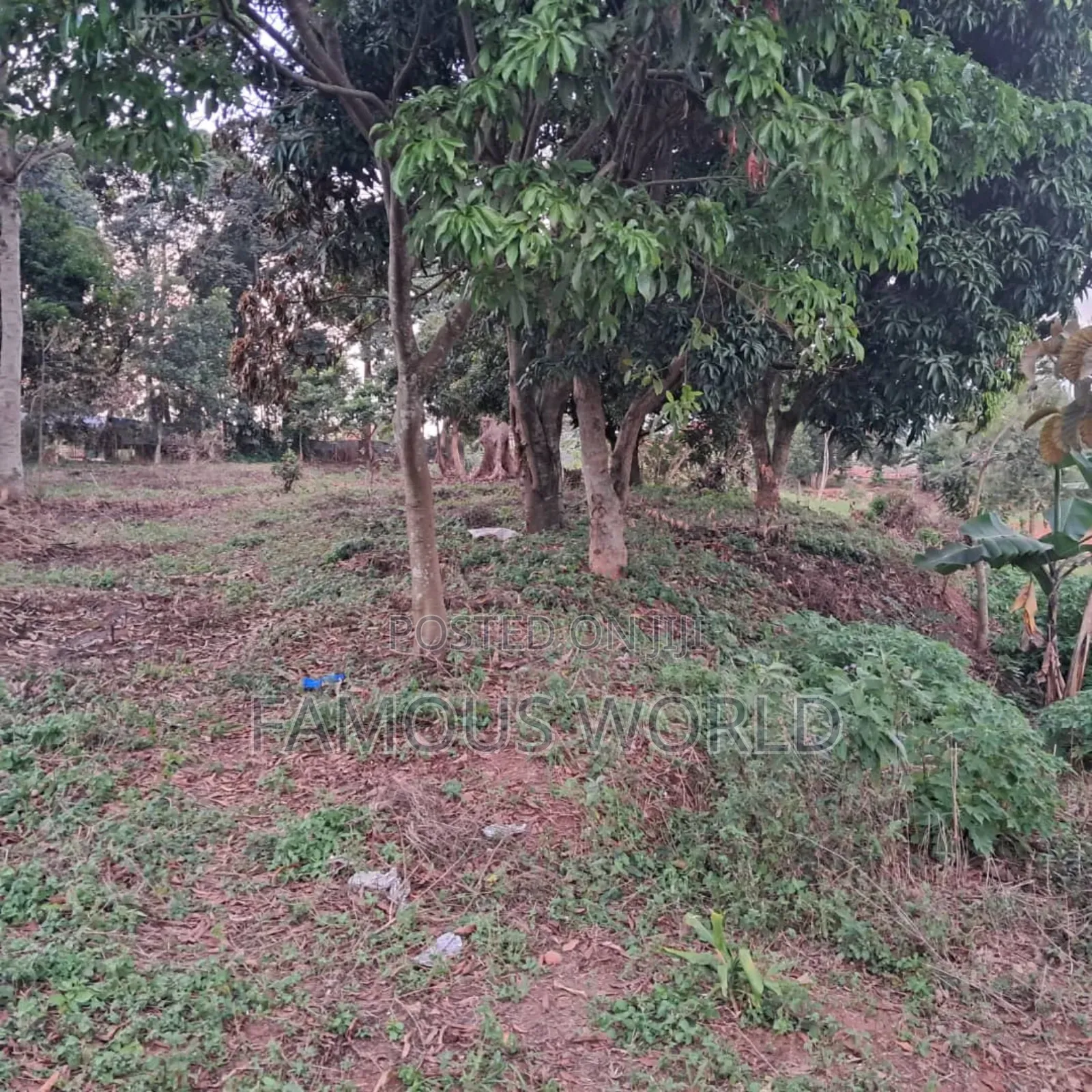 Land on Sale in Bwerenga Next to Brother Ronnie's Church