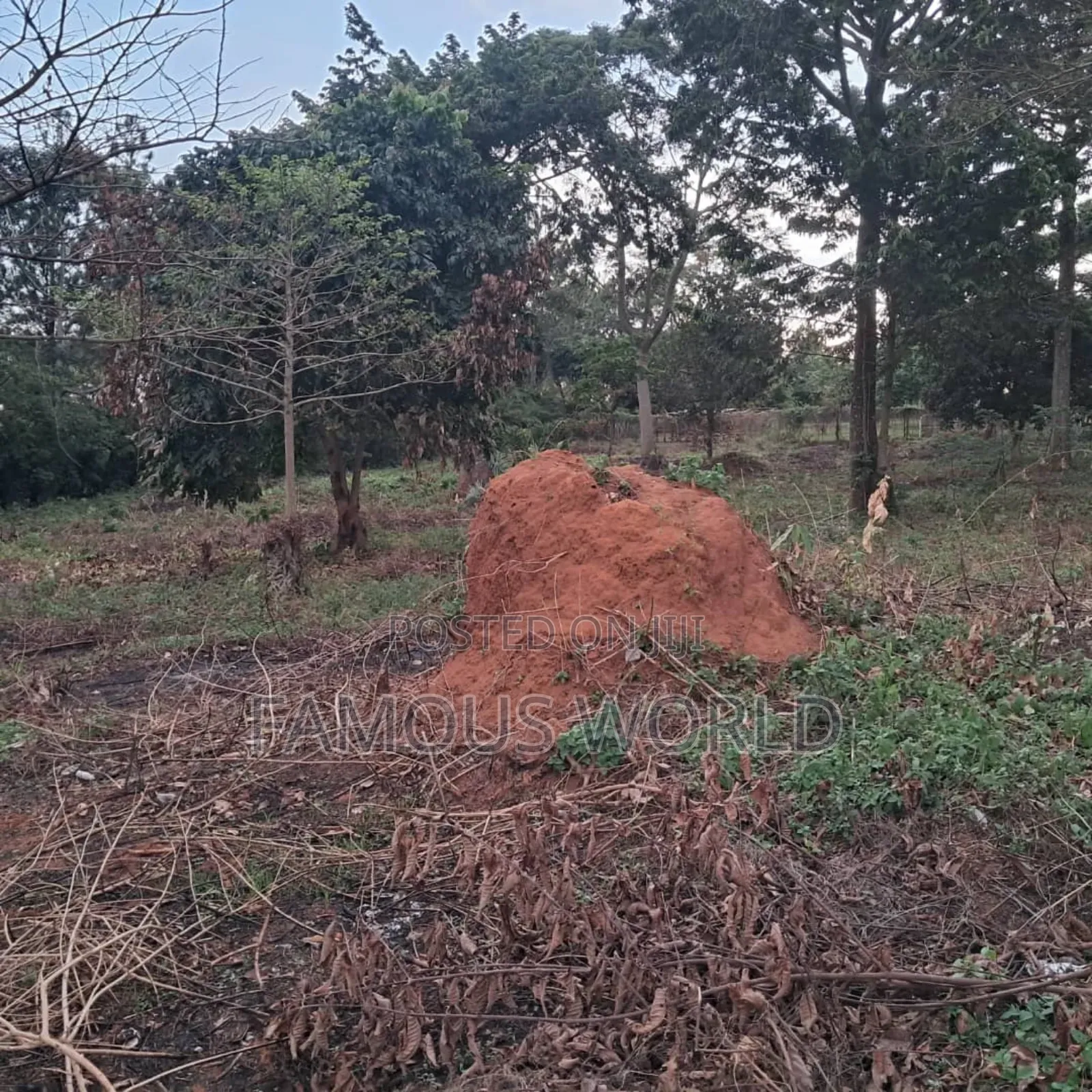 Land on Sale in Bwerenga Next to Brother Ronnie's Church
